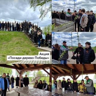 «ПОСАДИ ДЕРЕВО ПОБЕДЫ».
